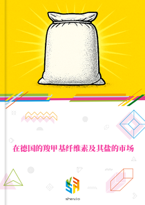 在德国的羧甲基纤维素及其盐的市场