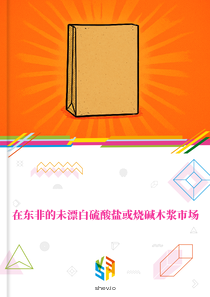 在东非的未漂白硫酸盐或烧碱木浆市场