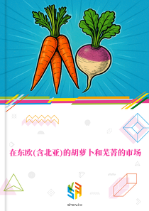 在东欧(含北亚)的胡萝卜和芜菁的市场