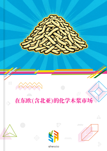 在东欧(含北亚)的化学木浆市场