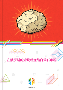 在俄罗斯的煅烧或烧结白云石市场