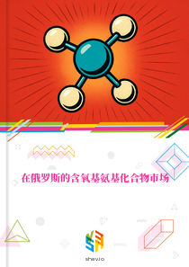 在俄罗斯的含氧基氨基化合物市场
