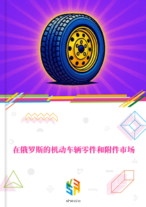 在俄罗斯的机动车辆零件和附件市场