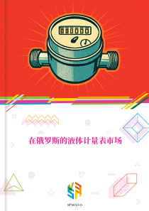 在俄罗斯的液体计量表市场