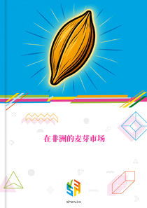 在非洲的麦芽市场