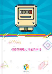 在芬兰的电力计量表市场