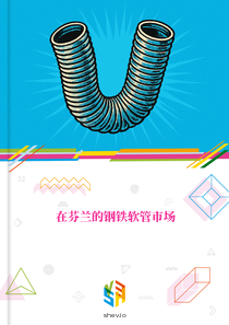 在芬兰的钢铁软管市场