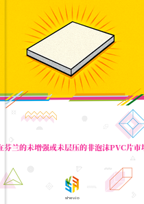 在芬兰的未增强或未层压的非泡沫PVC片市场