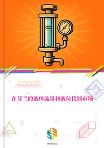 在芬兰的液体流量和液位仪器市场