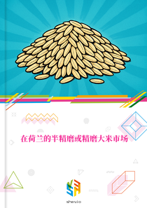 在荷兰的半精磨或精磨大米市场