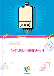 在荷兰的集中供暖锅炉市场
