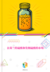 在荷兰的硫酸和发烟硫酸的市场