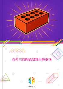在荷兰的陶瓷建筑用砖市场
