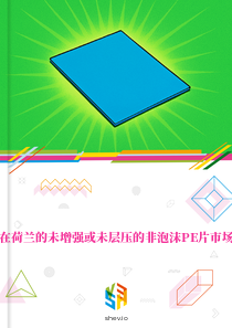在荷兰的未增强或未层压的非泡沫PE片市场