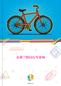 在荷兰的自行车市场