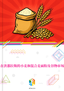 在洪都拉斯的小麦和混合麦面粉及谷物市场