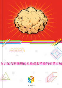 在吉尔吉斯斯坦的未梳或未精梳的棉花市场