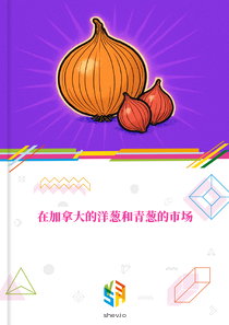 在加拿大的洋葱和青葱的市场