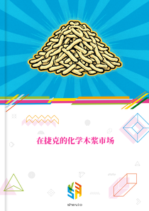 在捷克的化学木浆市场