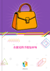 在捷克的手提包市场