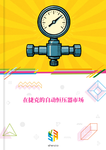 在捷克的自动恒压器市场