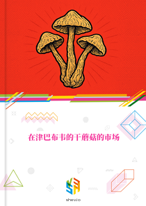 在津巴布韦的干蘑菇的市场