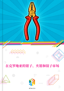 在克罗地亚的钳子、夹钳和镊子市场