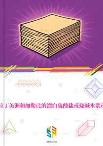 在拉丁美洲和加勒比的漂白硫酸盐或烧碱木浆市场
