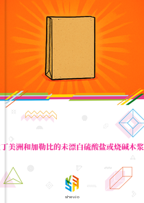 在拉丁美洲和加勒比的未漂白硫酸盐或烧碱木浆市场
