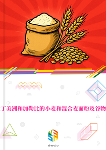在拉丁美洲和加勒比的小麦和混合麦面粉及谷物市场