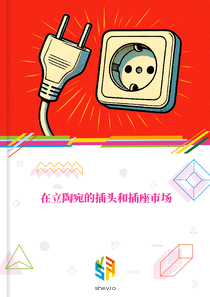 在立陶宛的插头和插座市场