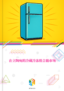 在立陶宛的冷藏冷冻组合箱市场
