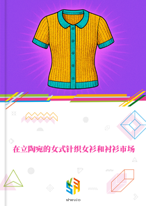 在立陶宛的女式针织女衫和衬衫市场