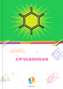 在罗马尼亚的环烃市场