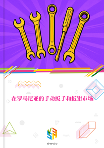 在罗马尼亚的手动扳手和扳钳市场