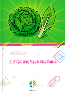 在罗马尼亚的莴苣和菊苣的市场