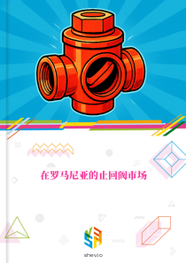 在罗马尼亚的止回阀市场