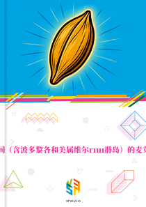 在美国（含波多黎各和美属维尔гин群岛）的麦芽市场