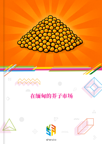 在缅甸的芥子市场