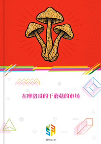 在摩洛哥的干蘑菇的市场