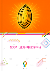 在莫桑比克的谷物胚芽市场