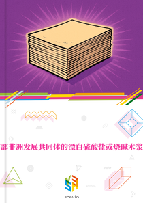 在南部非洲发展共同体的漂白硫酸盐或烧碱木浆市场