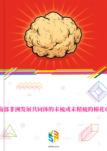 在南部非洲发展共同体的未梳或未精梳的棉花市场