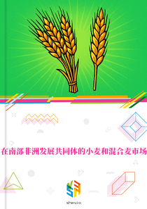 在南部非洲发展共同体的小麦和混合麦市场