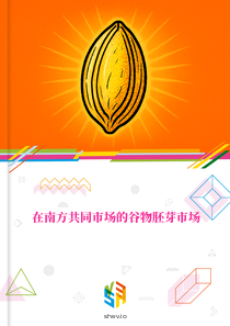 在南方共同市场的谷物胚芽市场