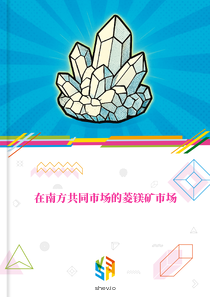 在南方共同市场的菱镁矿市场