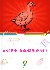 在南方共同市场的鲜或冷藏的鹅肉市场