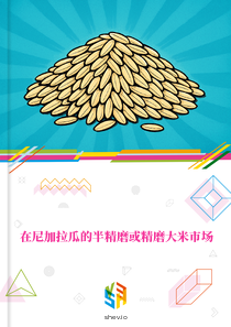 在尼加拉瓜的半精磨或精磨大米市场