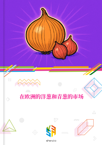 在欧洲的洋葱和青葱的市场