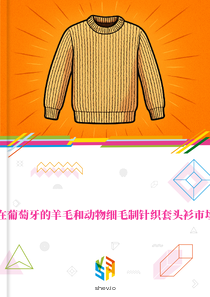 在葡萄牙的羊毛和动物细毛制针织套头衫市场